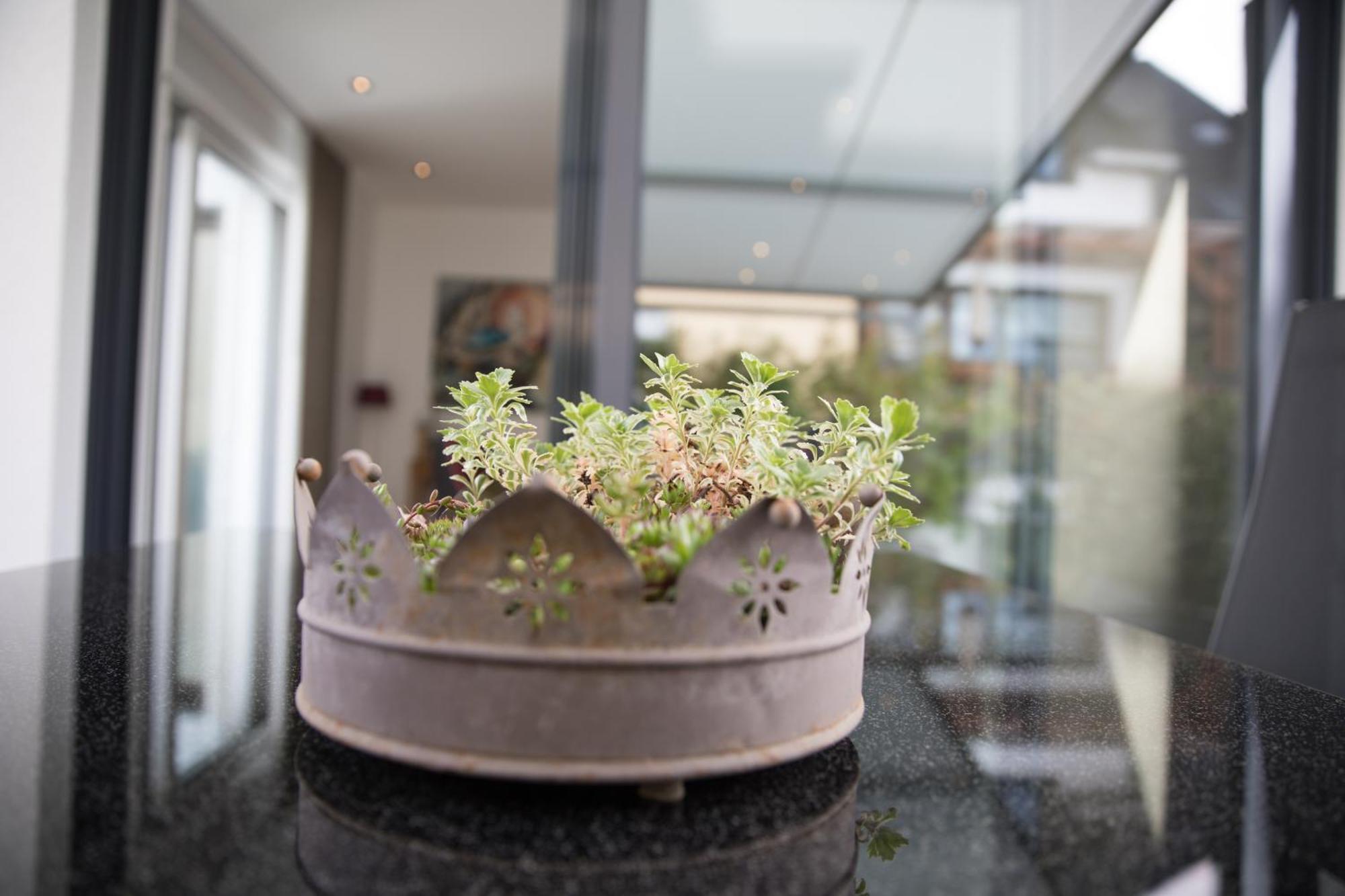 Appartement Neu - Moselauszeit Traben Extérieur photo
